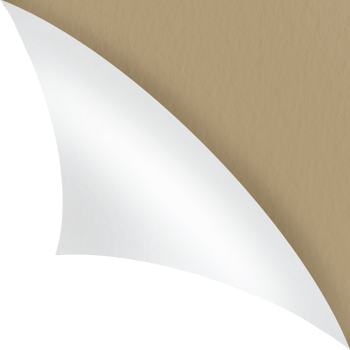 paper sheet turn curl and flip Curled page corner with shadow on transparent background. Blank sheet of page fold png