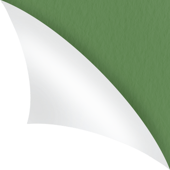 paper sheet turn curl and flip Curled page corner with shadow on transparent background. Blank sheet of page fold png