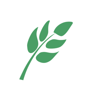 a green leaf icon on a transparent background png