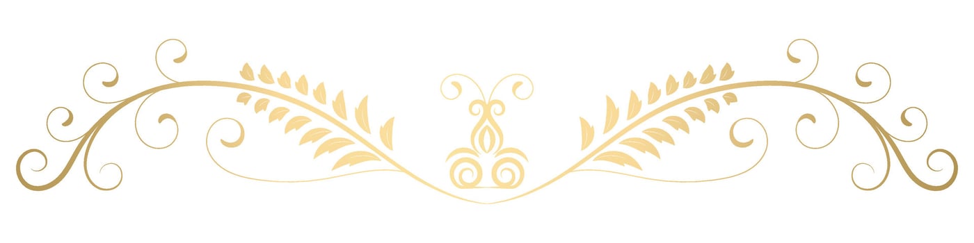 vintage lines decorative s Golden flower border collection vector