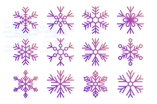 Set of snowflakes vector illustration