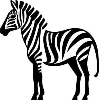 Zebra, Black and White Vector illustration