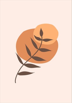 boho tropical leaf. natural shapes poster set in mid century style. Modern illustration, tropical leaf, geo elements for minimalist print, poster, boho wall decor, flat design Vector minimal art