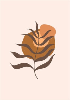 boho tropical leaf. natural shapes poster set in mid century style. Modern illustration, tropical leaf, geo elements for minimalist print, poster, boho wall decor, flat design Vector minimal art