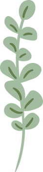 Floral element. Illustration png