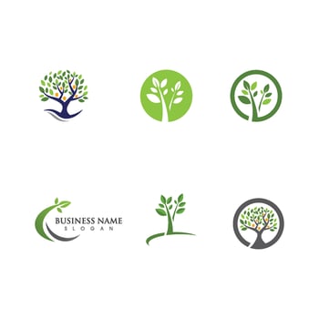 Logos of green Tree leaf ecology vector