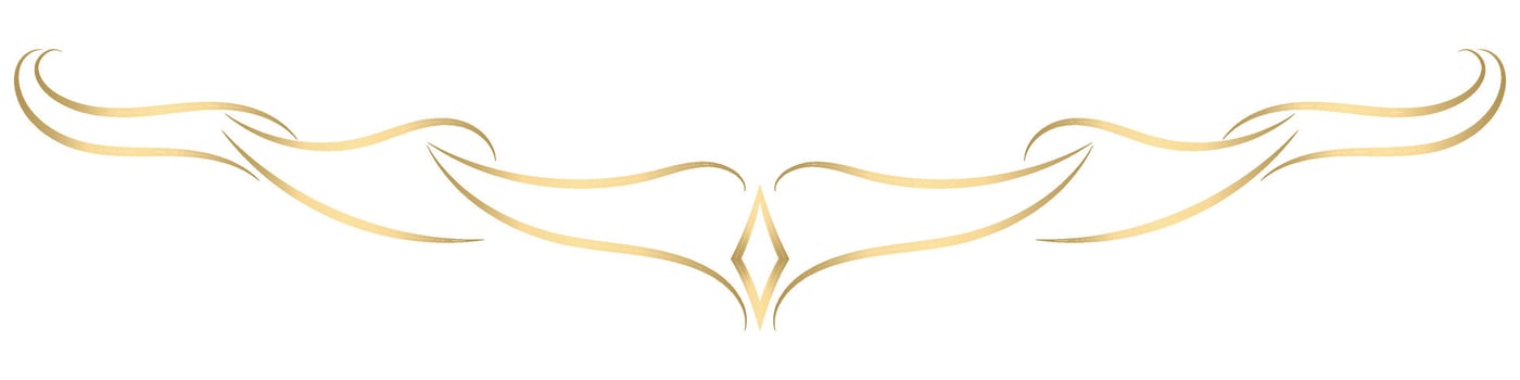 vintage gold lines Decorate the website golden dots gradient vector