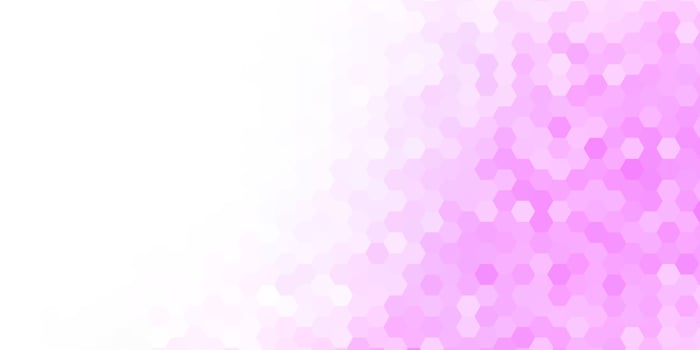 modern elegant abstract pink beauty background vector
