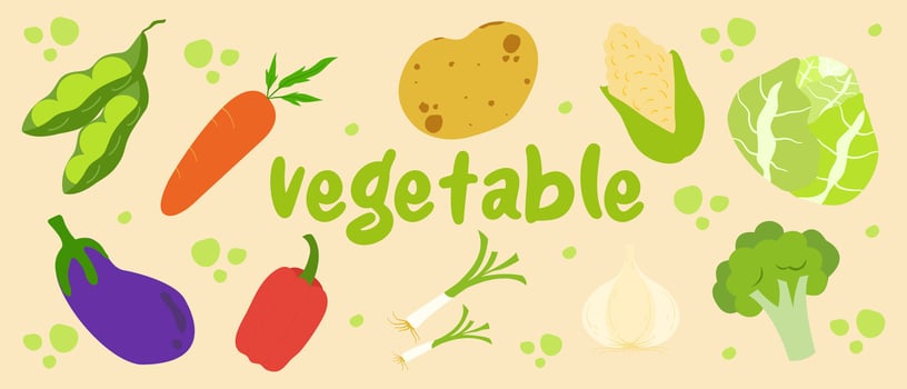 set of vector vegetable illustration