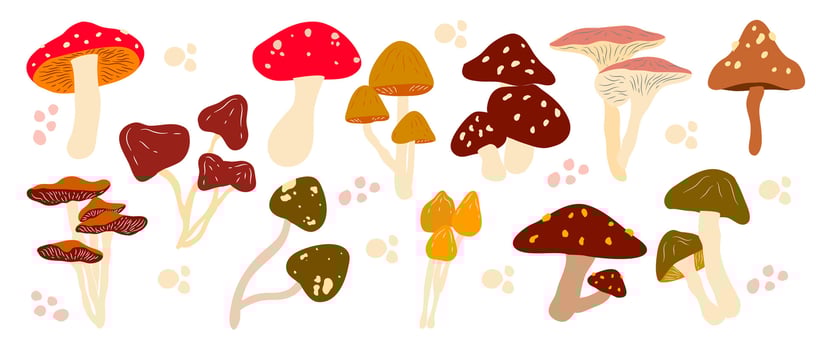set of mushroom vector illustration