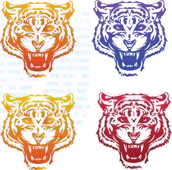 Vector tiger head