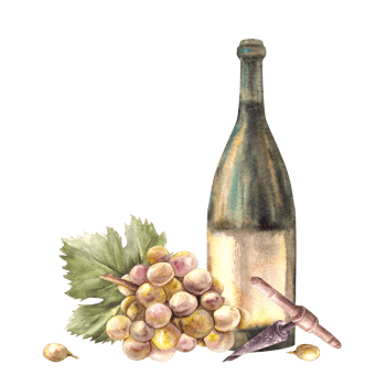 A bottle of white wine with bunch of grapes and grapevine, corkscrew Watercolour hand draw illustration. Wine making printing of label, flyer, drink menu, wine list, sticker magnet png