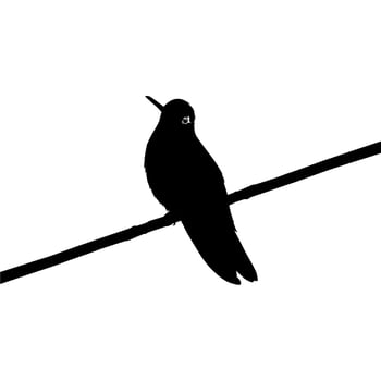Perched Hummingbird Silhouette, can use Art Illustration, Website, Logo Gram, Pictogram or Graphic Design Element. Vector Illustration