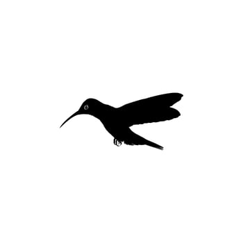 Flying Hummingbird Silhouette, can use Art Illustration, Website, Logo Gram, Pictogram or Graphic Design Element. Vector Illustration
