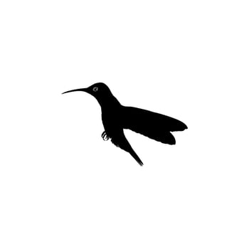 Flying Hummingbird Silhouette, can use Art Illustration, Website, Logo Gram, Pictogram or Graphic Design Element. Vector Illustration