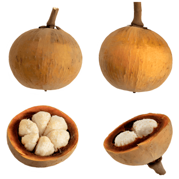 AI generated Santol fruit sliced isolated on transparent background png