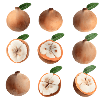 AI generated Santol fruit sliced isolated on transparent background png