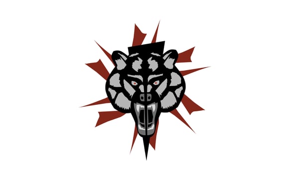 bear logo, angry bear face illustration, bold and unique bear head logo. vector