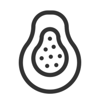 Papaya illustration design png