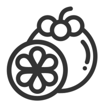Mangosteen illustration design png