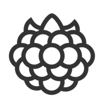 Raspberry illustration design png