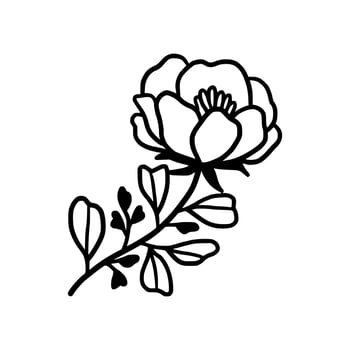 Vintage hand drawn peony flower line art vector element