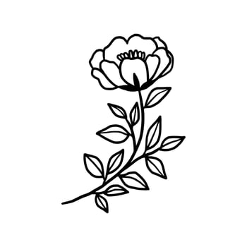 Vintage hand drawn peony flower line art vector element