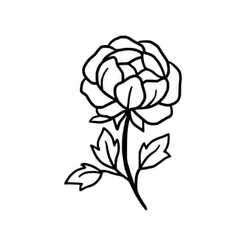 Vintage hand drawn line art peony flower and leaf branch vector
