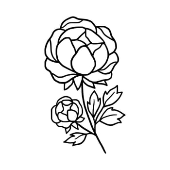 Vintage hand drawn line art peony flower and leaf branch vector
