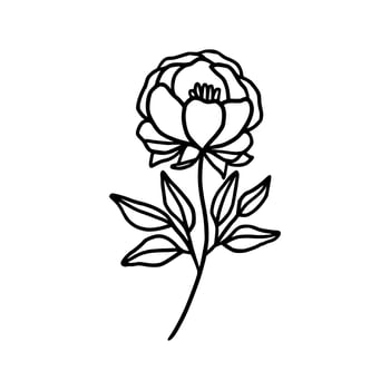 Vintage hand drawn line art peony flower and leaf branch vector