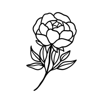 Vintage hand drawn line art peony flower and leaf branch vector