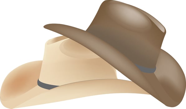 light summer straw hat headdress vector