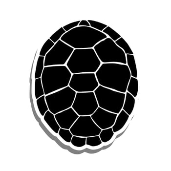 Vector illustration of Turtle Shell Pattern on White Background.