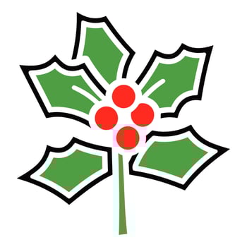A Holly Vector isolated on a white background, Christmas Holly free illustration