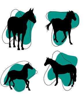 Galloping stallions vector