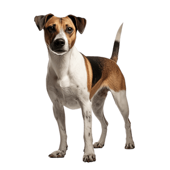 AI generated Dog standing clip art png