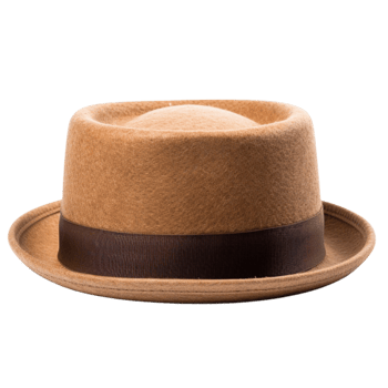 AI generated Fedora hat for man clip art png