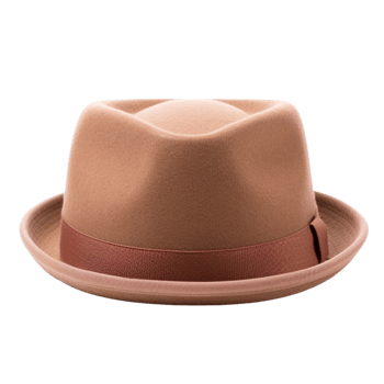 AI generated Fedora hat for man clip art png