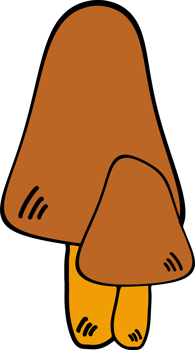 The Mushroom drawing free hand image for food concept. png