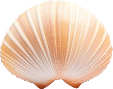 AI generated Seashell nature png