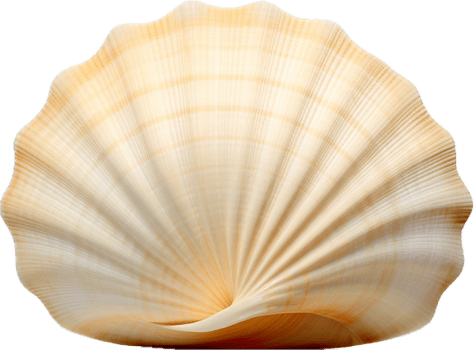 AI generated Seashell nature png