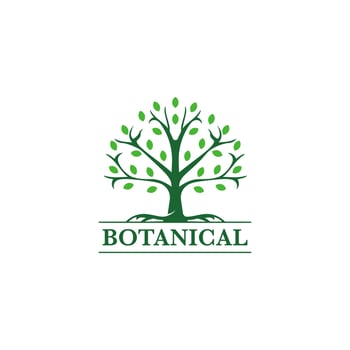 Abstract Tree of life logo icons set. Botanic plant nature symbols. vector