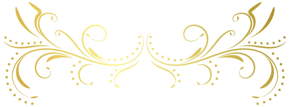 vintage lines decorative s Golden flower border collection vector