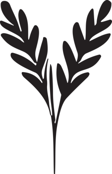 Flower or leaf logo in a minimalist style for decoration png