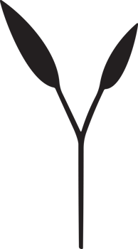 Flower or leaf logo in a minimalist style for decoration png