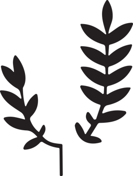 Flower or leaf logo in a minimalist style for decoration png