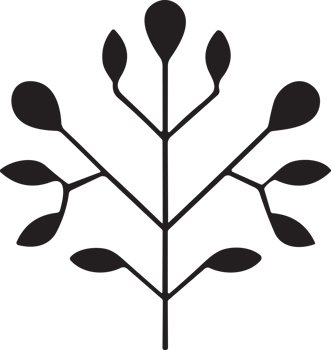Flower or leaf logo in a minimalist style for decoration png
