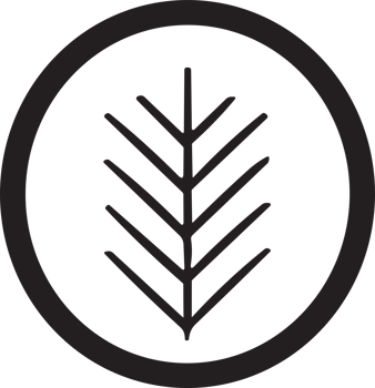 Flower or leaf logo in a minimalist style for decoration png