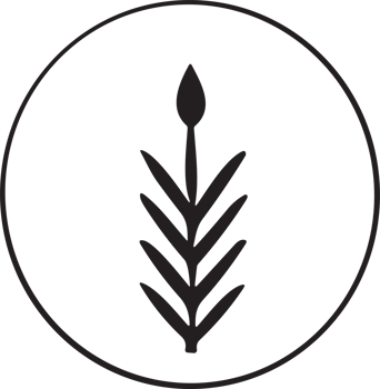 Flower or leaf logo in a minimalist style for decoration png