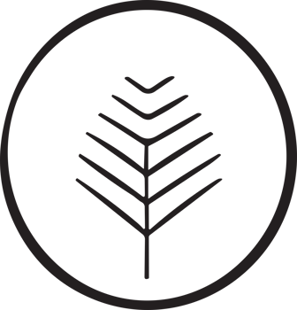 Flower or leaf logo in a minimalist style for decoration png